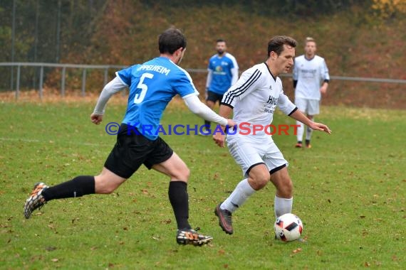 Landesliga Rhein Neckar TSV Michelfeld vs ASV/DJK Eppelheim  (© Siegfried)